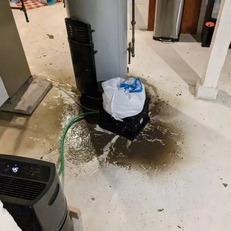 Sewage Backup Cleanup Service in Churubusco, IN